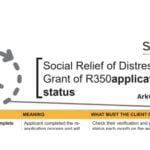 Reconfirm SASSA SRD R350 status Check 2022